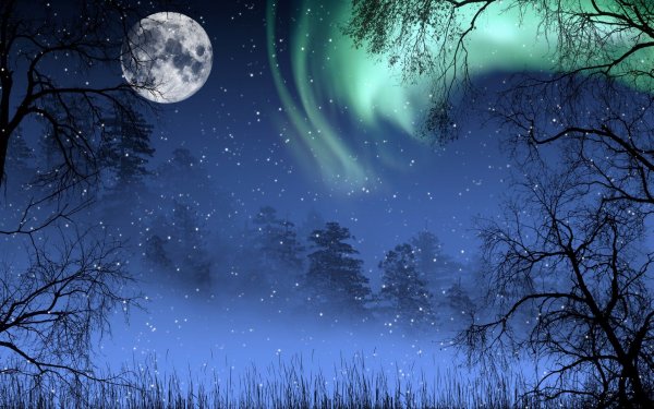 Ночь Луна