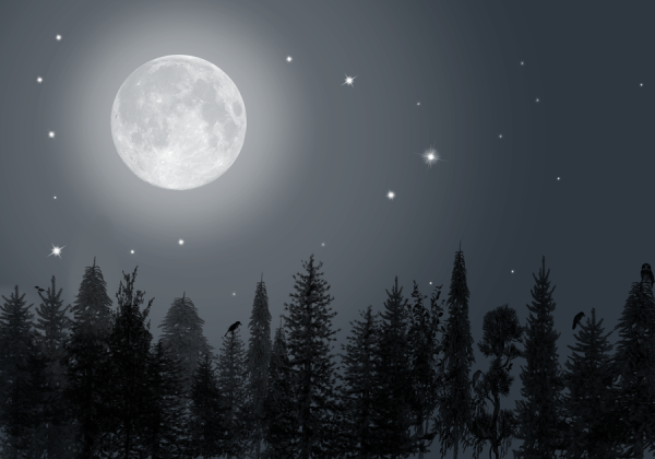 Ночь лес Луна