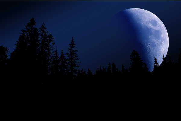 Ночь Луна