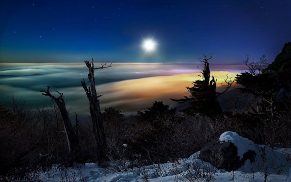 Новогодняя Луна