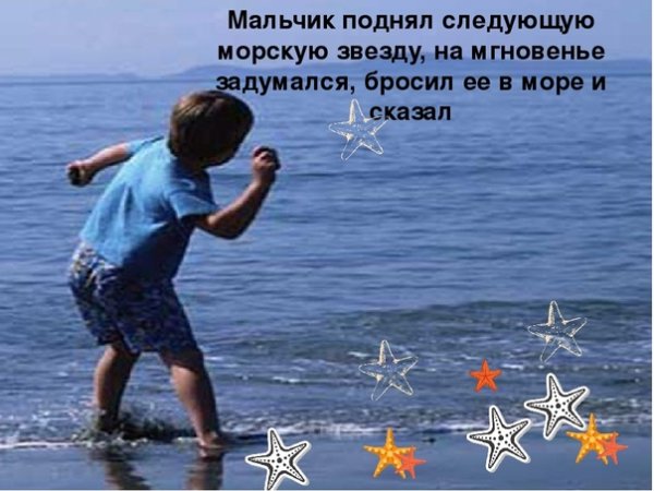 Притча Малик и морские звезды