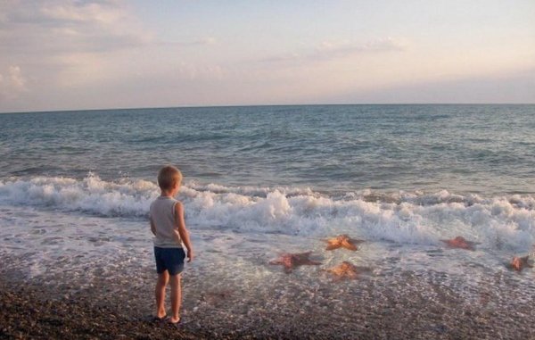 Притча о мальчике и морских звездах