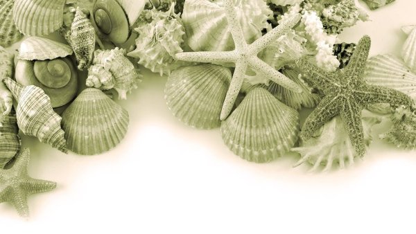 Морская тематика