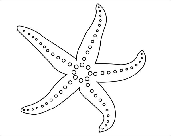 Морская звезда hand drawn