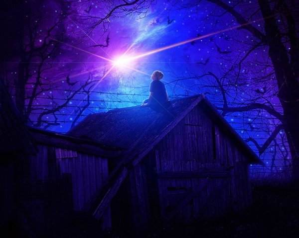 Звезды над домом