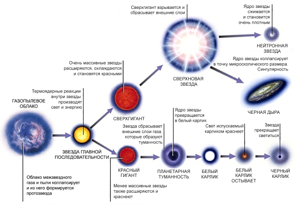 Жизненный цикл звезды спектрального