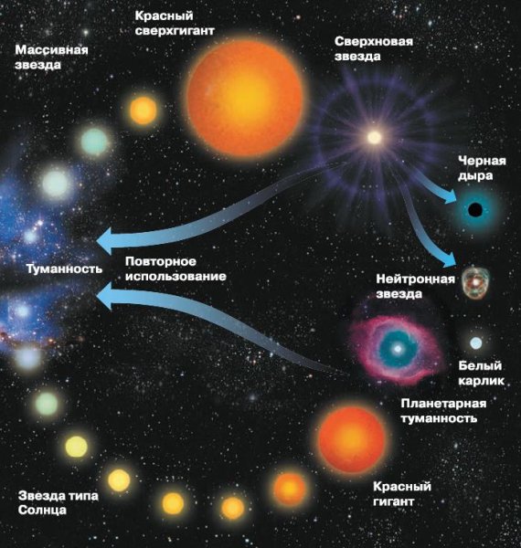 Жизненный цикл звезд, подобных солнцу, выглядит так: