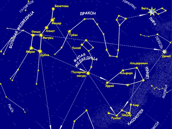 Карта звездного неба с созвездиями Северного полушария для детей