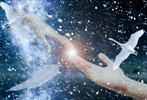 Влюбленные летают