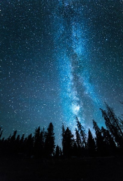 Девушка звезда