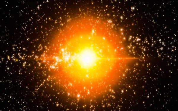 Канис Маджорис