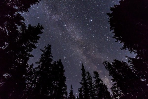 Звездное небо