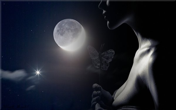 Человек под звездным небом