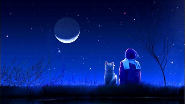 Девушка звезда