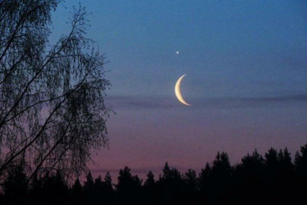 Звезда Вифлеема 2005