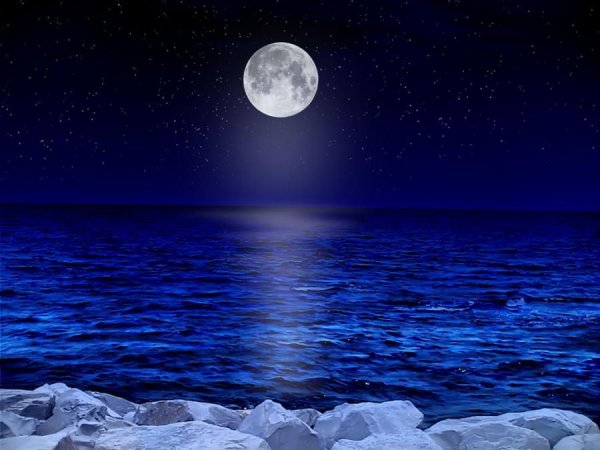 Ночное море и звезды