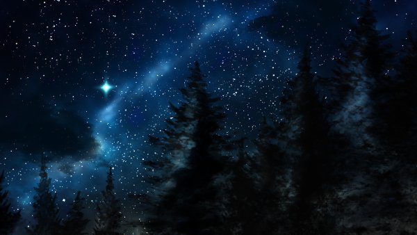 Зимнее звездное небо