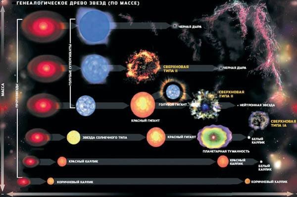 Схема эволюции звезд