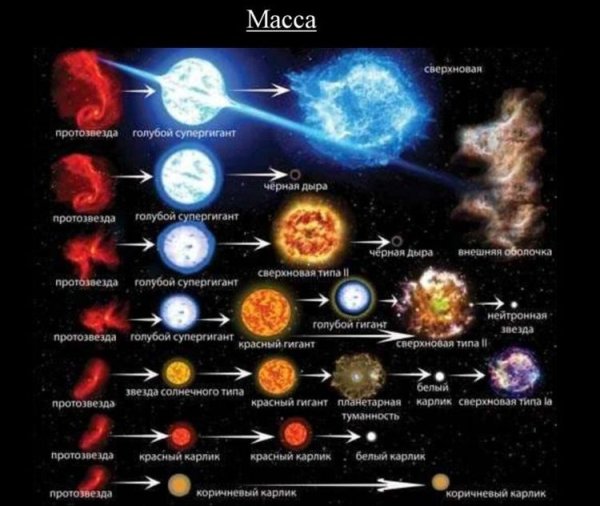 Этапы эволюции звезд протозвезда