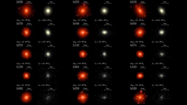 Разновидности звезд