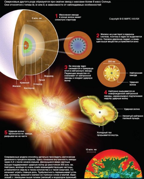 Строение сверхновой звезды