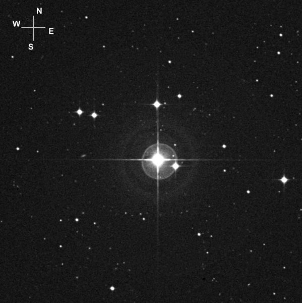 Поррима звезда