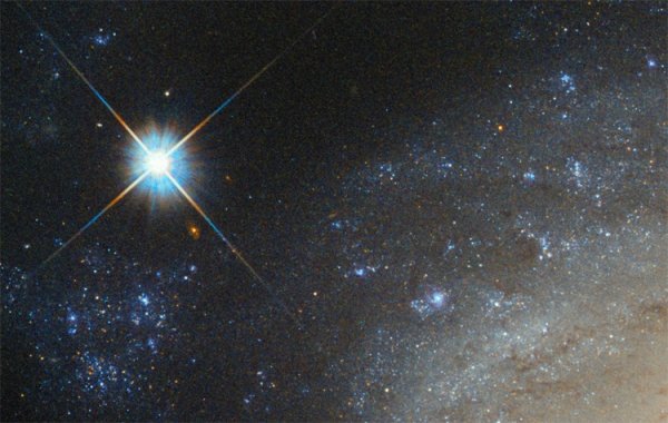 Адара звезда Созвездие