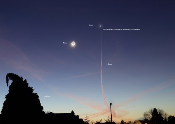 Спика в созвездии Девы