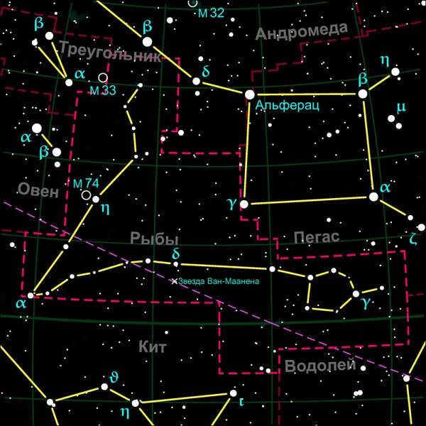 Король Лев львица Омега