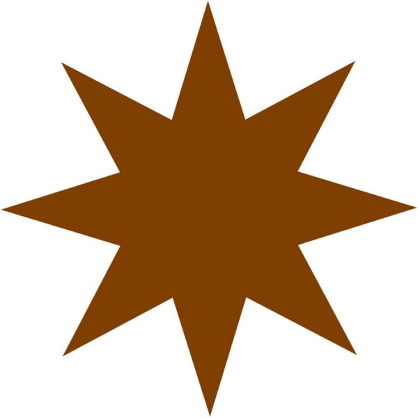 Коричная звезда