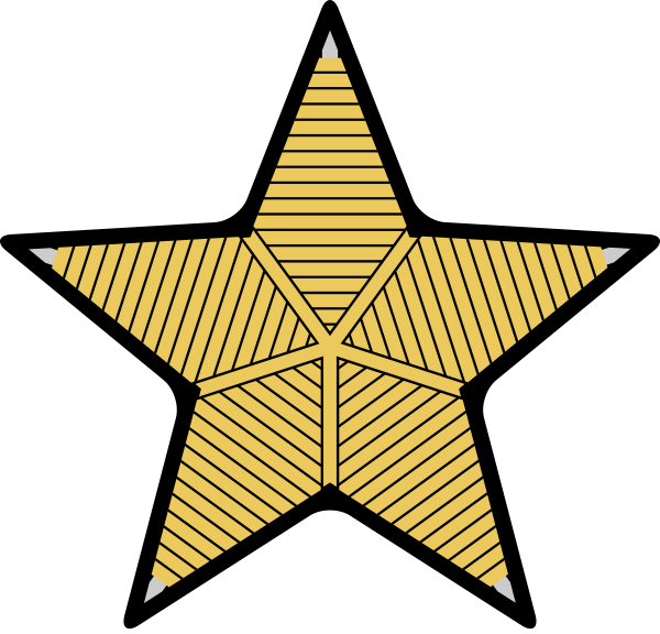 Золотая звезда Генерала