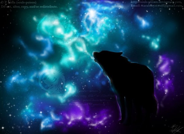 Волк космос арт