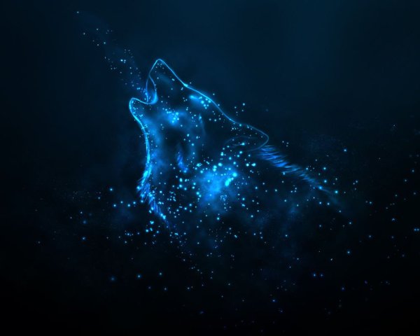 Созвездие волка