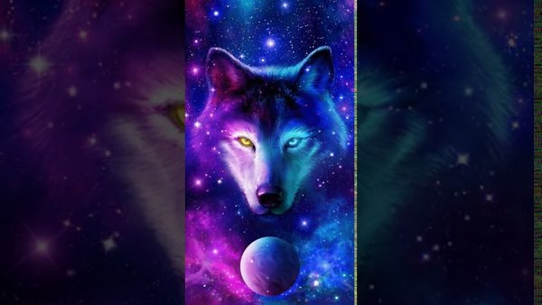 Волчонок арт