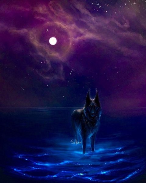 Звездный волк