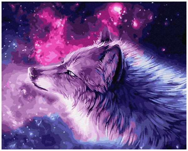 Девушка и Северное сияние