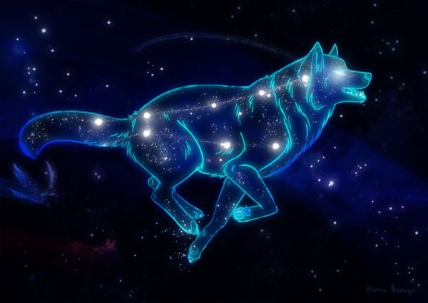 Белый волк на фоне Луны