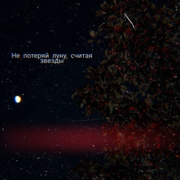 Считая звезды не потеряй луну цитаты