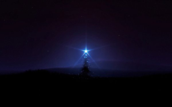 Звезды в темноте