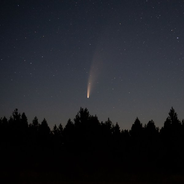 Процион звезда на небе