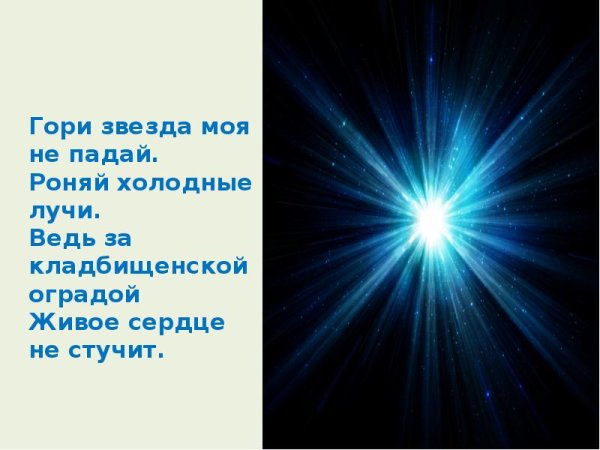 Гори моя звезда