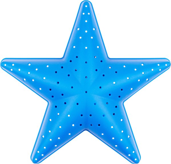 Звезда серебристая