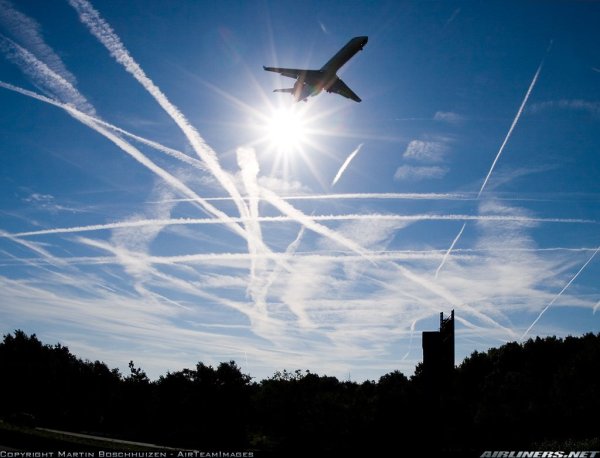 Яркая звезда