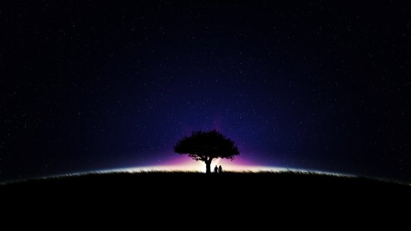 Дерево под звездным небом