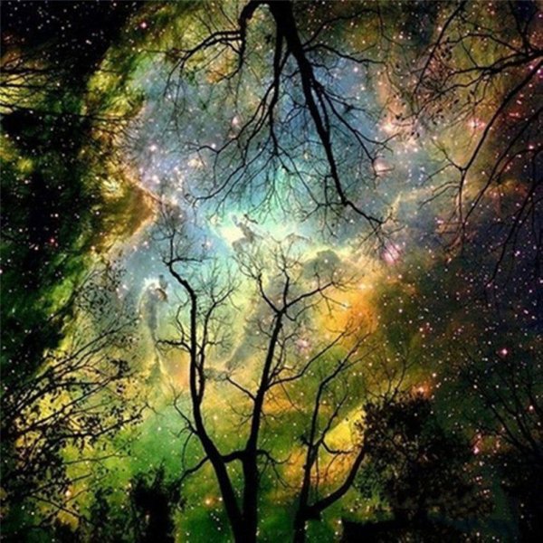 Ночное небо с деревьями