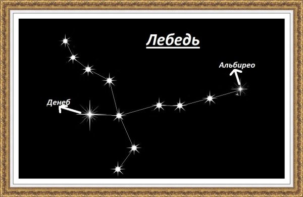 Созвездие лебедь рисунок