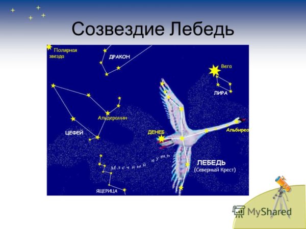 Созвездие лебедь и Полярная звезда