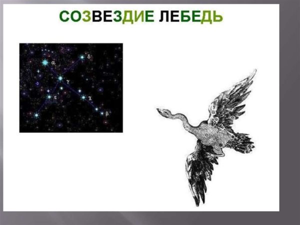 Созвездие лебедь