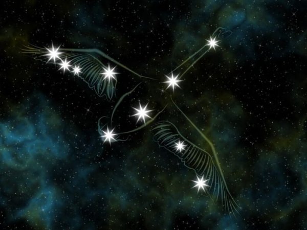 Созвездие лебедь окружающий мир 2 класс