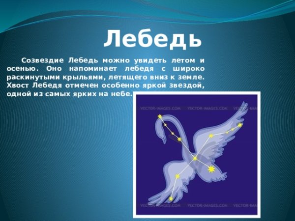 Ласковой ночи